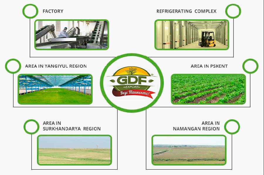 30T Water Treatment System Put Into Use In Uzbekistan Famous Food Processing Enterprise GDF LLC.png 30T Water Treatment System Put Into Use In Uzbekistan Famous Food Processing Enterprise GDF LLC.png