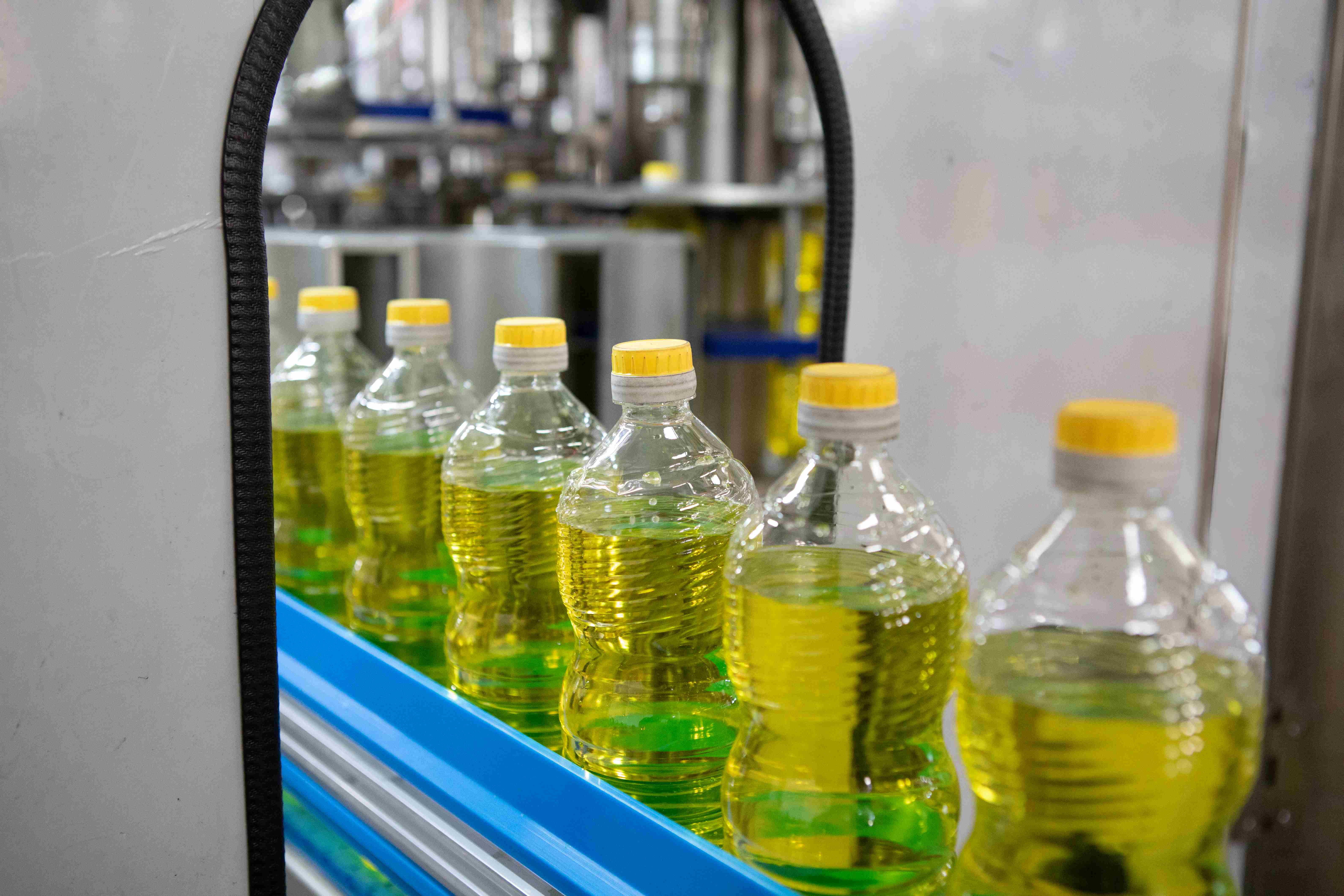 Oil Filling Machine