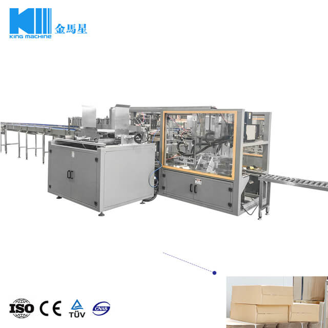 Drop Type Carton Packing Machine